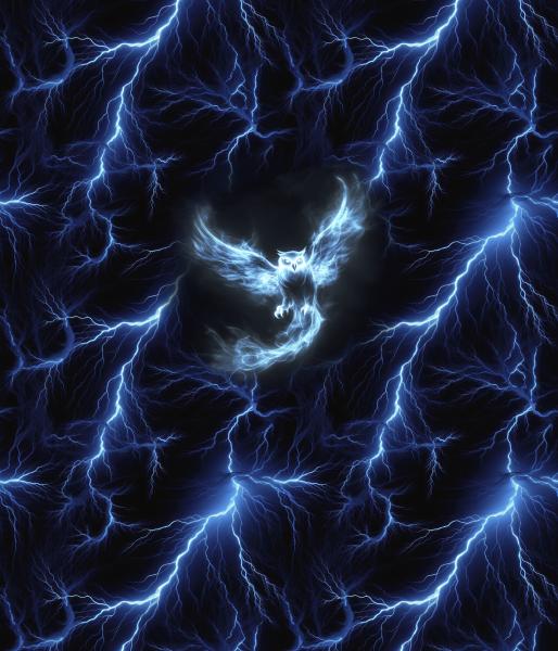Lightning - Eule 70cm - BIO French Terry